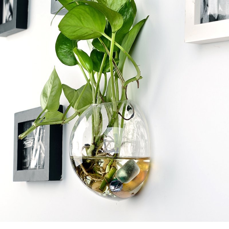 Glass Plant Pot Hanging Decor Glass Plant Pot Hanging Decor