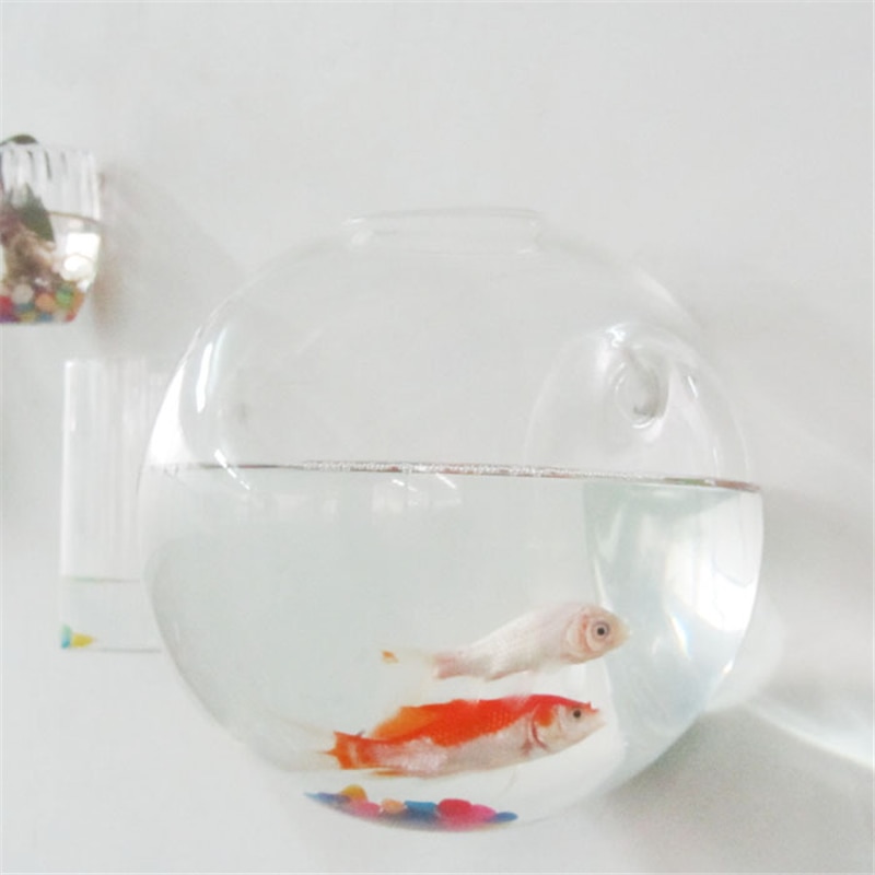Glass Plant Pot Hanging Decor Glass Plant Pot Hanging Decor