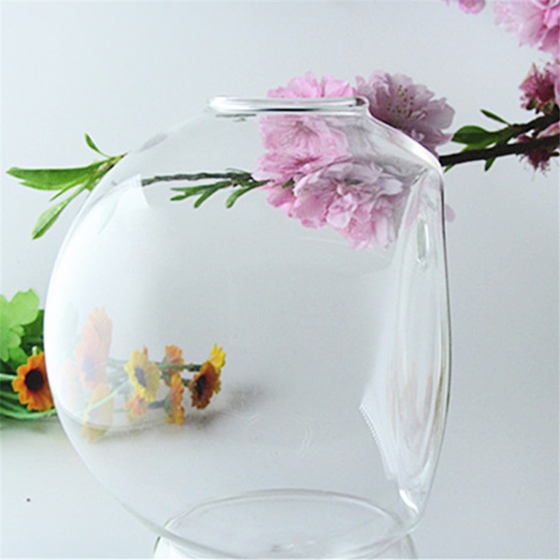 Glass Plant Pot Hanging Decor Glass Plant Pot Hanging Decor