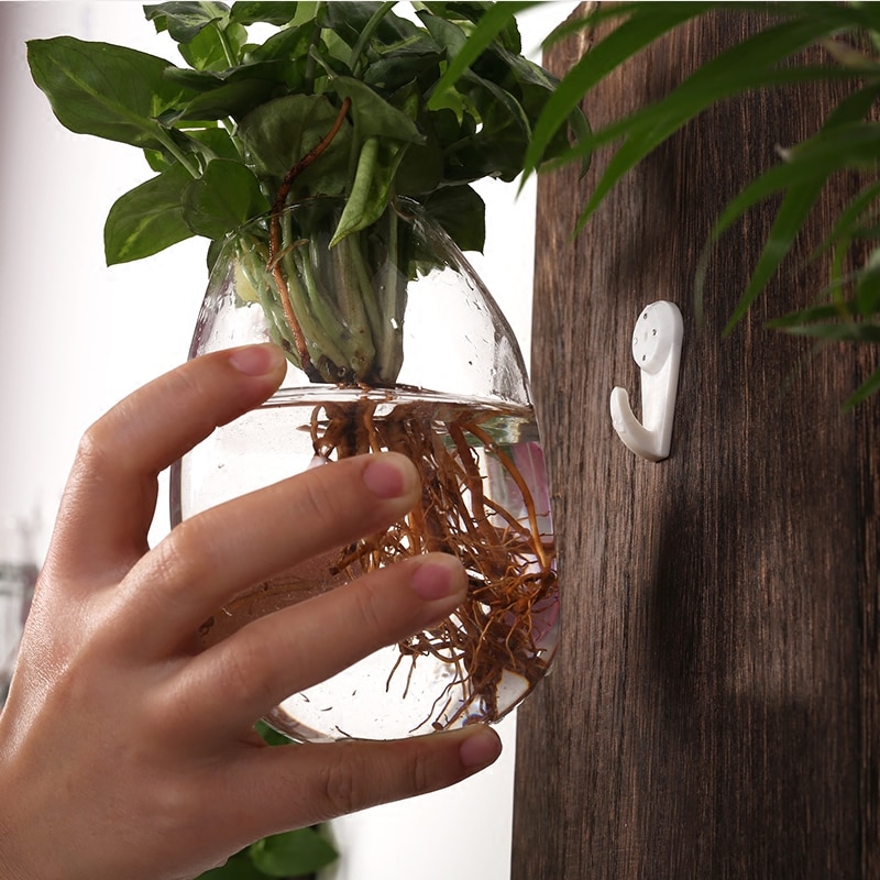 Glass Plant Pots Wall Vase Glass Plant Pots Wall Vase