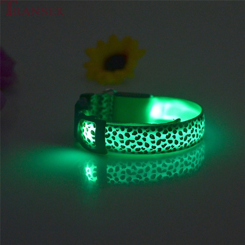 Glow in the Dark Dog Collar Leopard Print Glow in the Dark Dog Collar Leopard Print