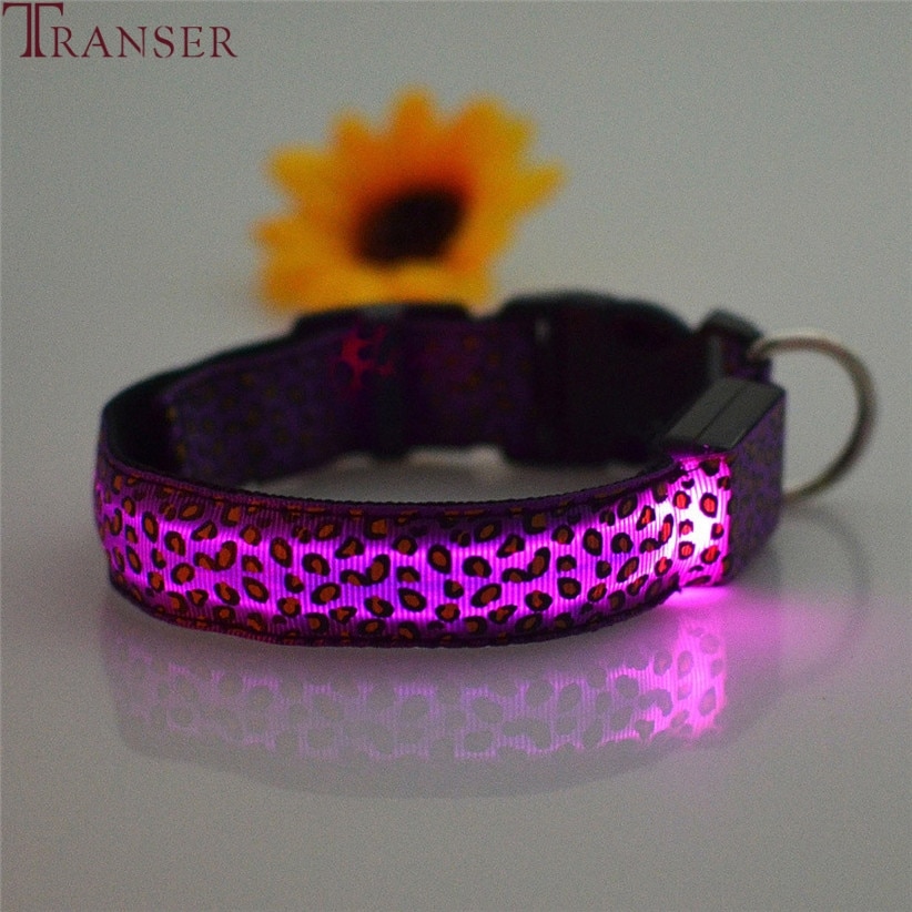 Glow in the Dark Dog Collar Leopard Print Glow in the Dark Dog Collar Leopard Print