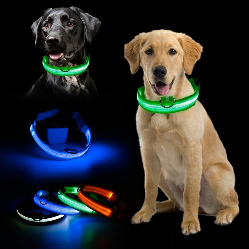 Glowing Dog Collar LED Safety Leash Glowing Dog Collar LED Safety Leash