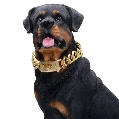 Gold Chain Stainless Steel Dog Collar Gold Chain Stainless Steel Dog Collar