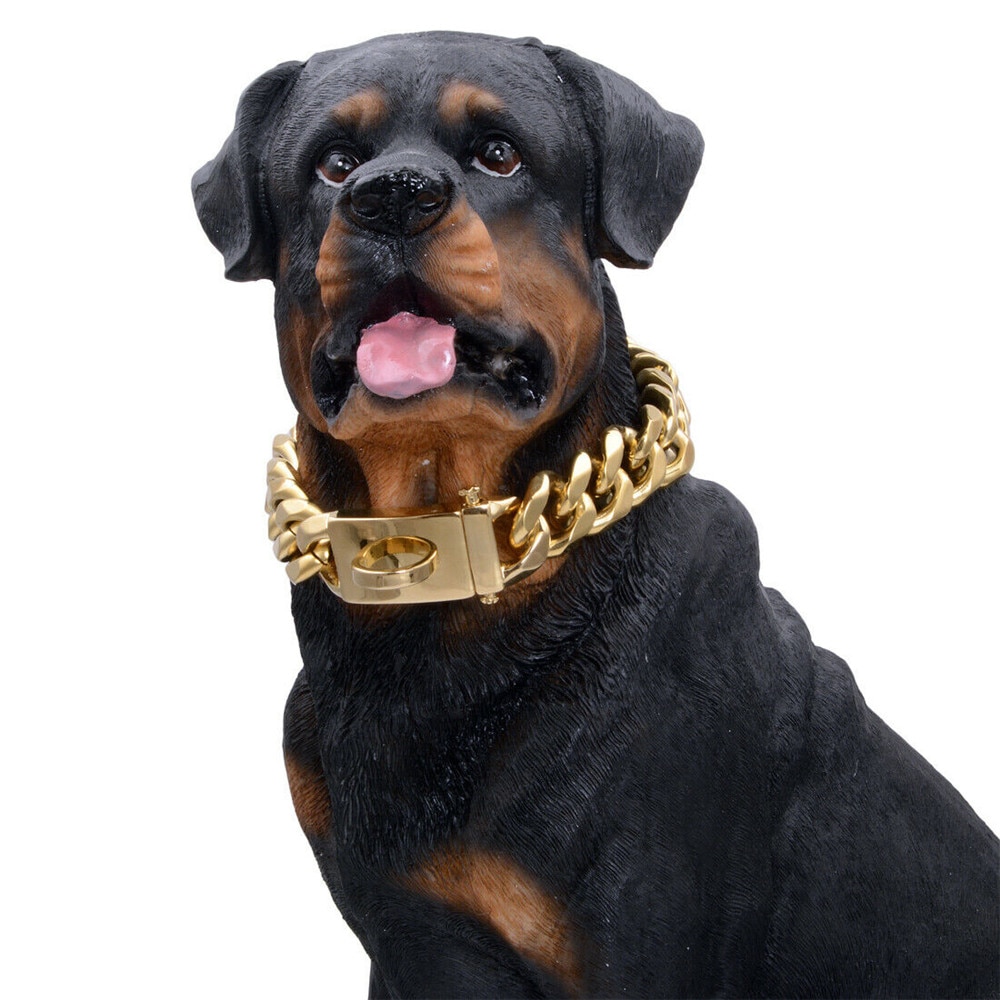 Gold Chain Stainless Steel Dog Collar Gold Chain Stainless Steel Dog Collar