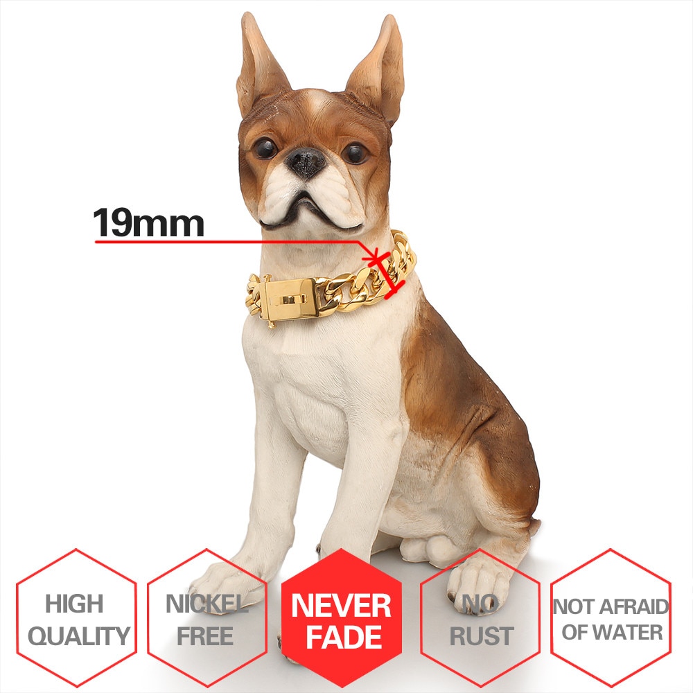 Gold Chain Stainless Steel Dog Collar Gold Chain Stainless Steel Dog Collar