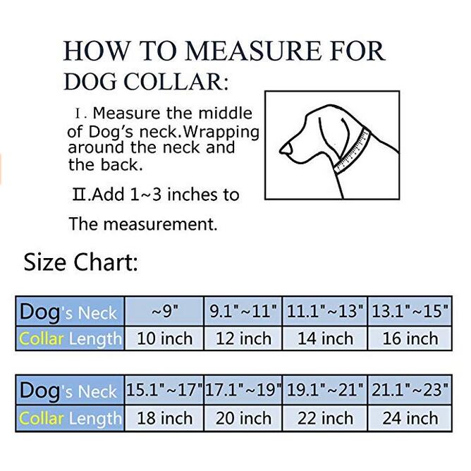 Gold Chain Stainless Steel Dog Collar Gold Chain Stainless Steel Dog Collar