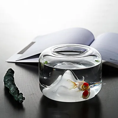 Goldfish Bowl with Mini Landscape Goldfish Bowl with Mini Landscape