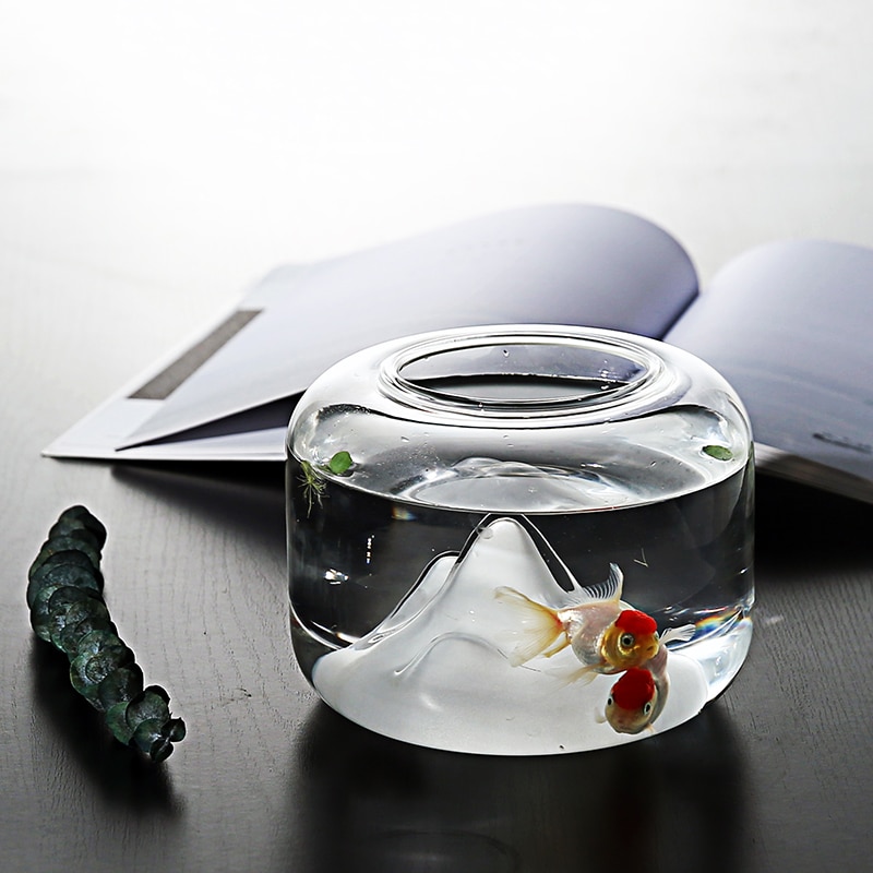 Goldfish Bowl with Mini Landscape Goldfish Bowl with Mini Landscape