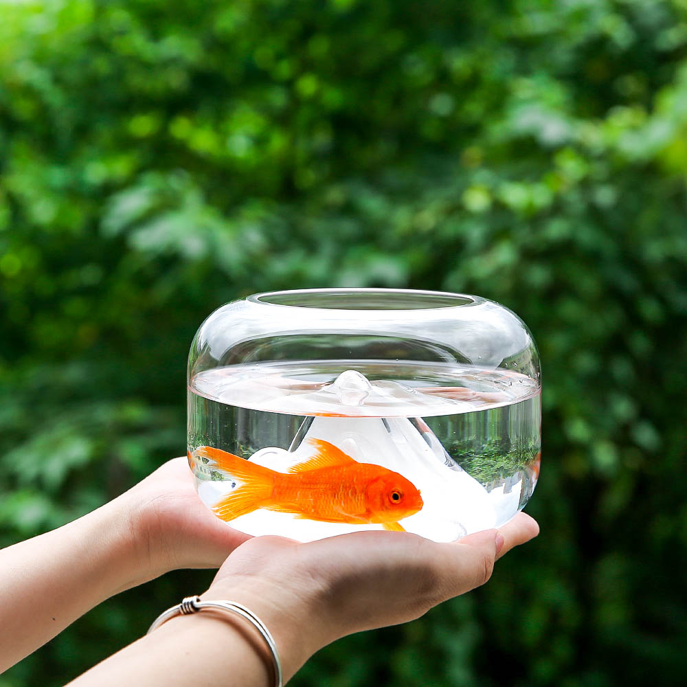 Goldfish Bowl with Mini Landscape Goldfish Bowl with Mini Landscape