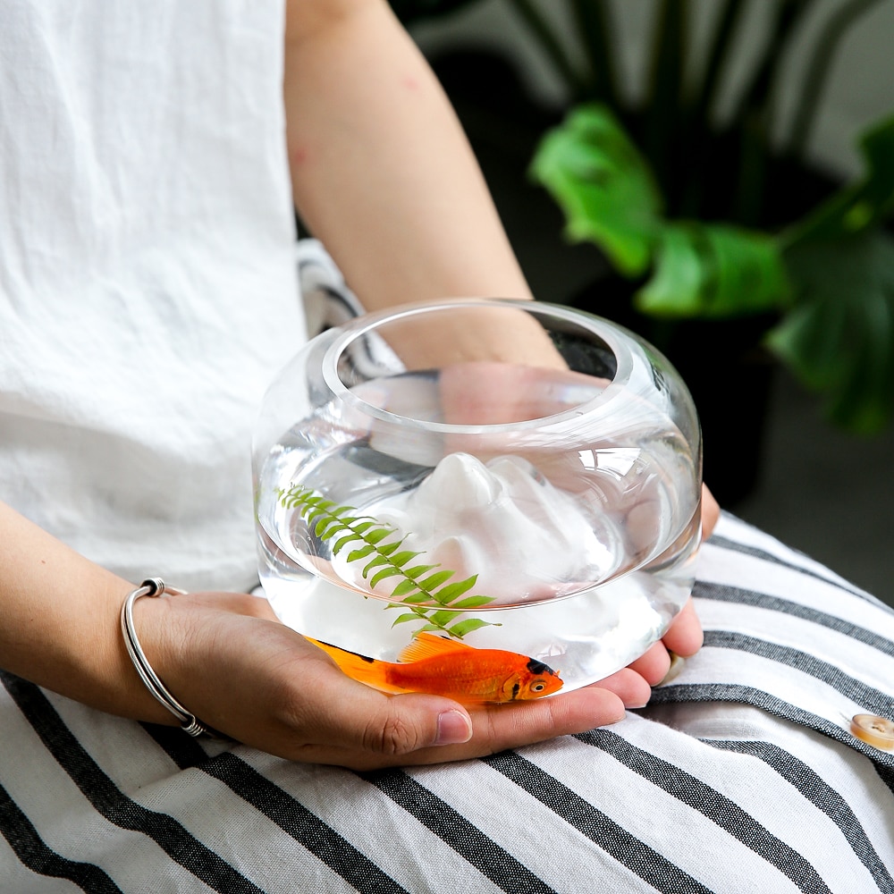 Goldfish Bowl with Mini Landscape Goldfish Bowl with Mini Landscape