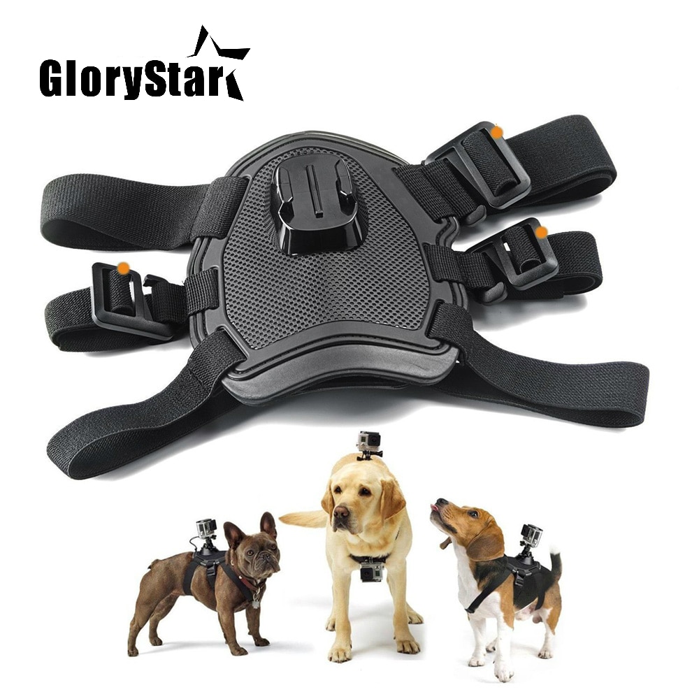 GoPro Dog Harness Camera Mount