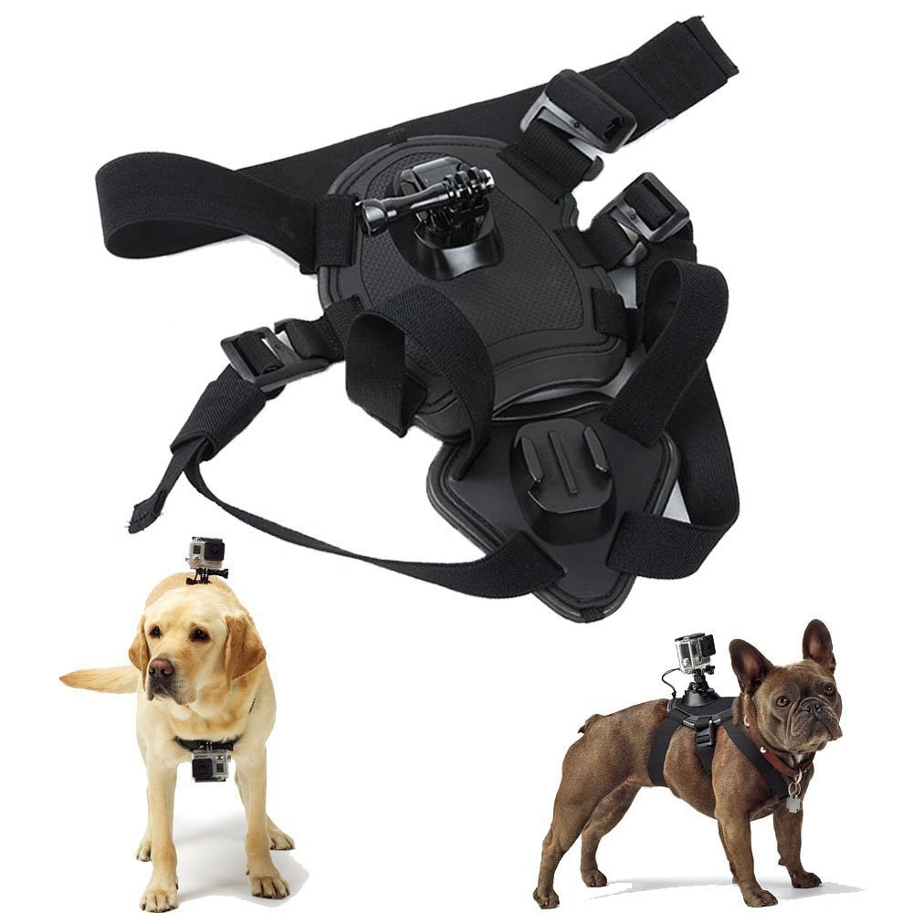 GoPro Dog Harness Camera Mount