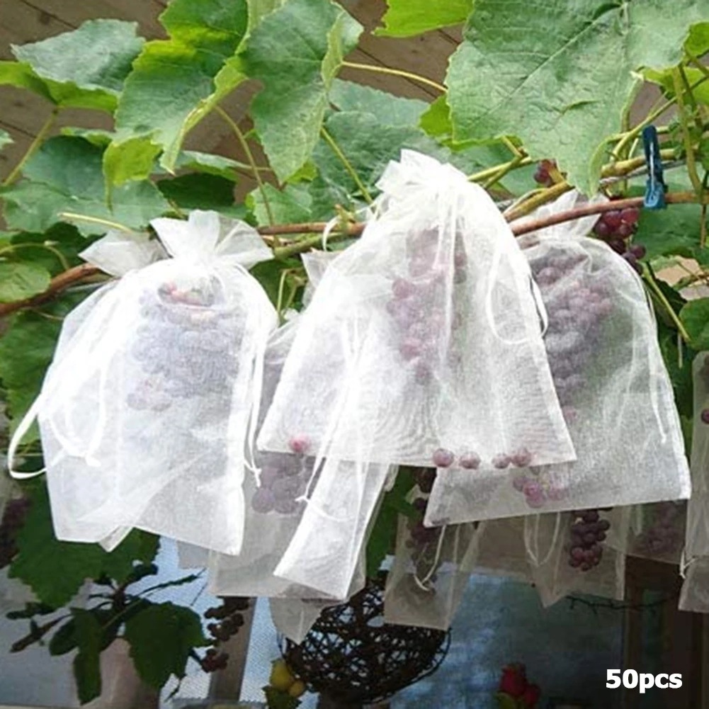 Grapes Fruit Protection Bags Garden Mesh Bags Agricultural Orchard Pest Control Anti-Bird Netting Vegetable Bags Grapes Fruit Protection Bags Garden Mesh Bags Agricultural Orchard Pest Control Anti-Bird Netting Vegetable Bags