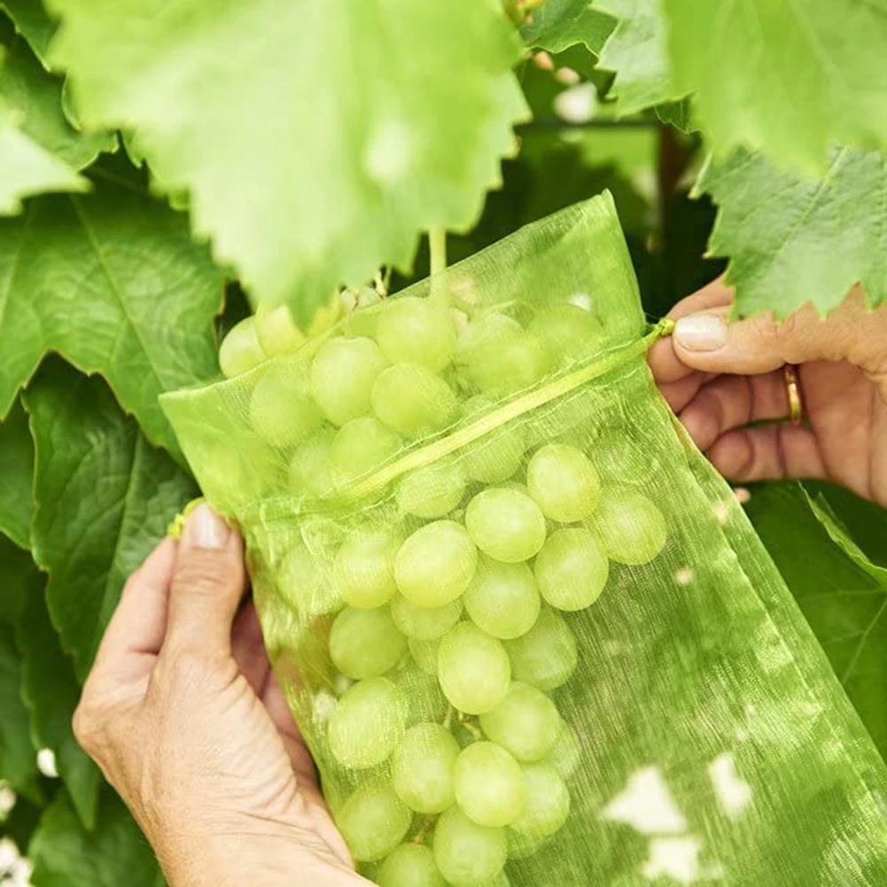 Grapes Fruit Protection Bags Garden Mesh Bags Agricultural Orchard Pest Control Anti-Bird Netting Vegetable Bags Grapes Fruit Protection Bags Garden Mesh Bags Agricultural Orchard Pest Control Anti-Bird Netting Vegetable Bags