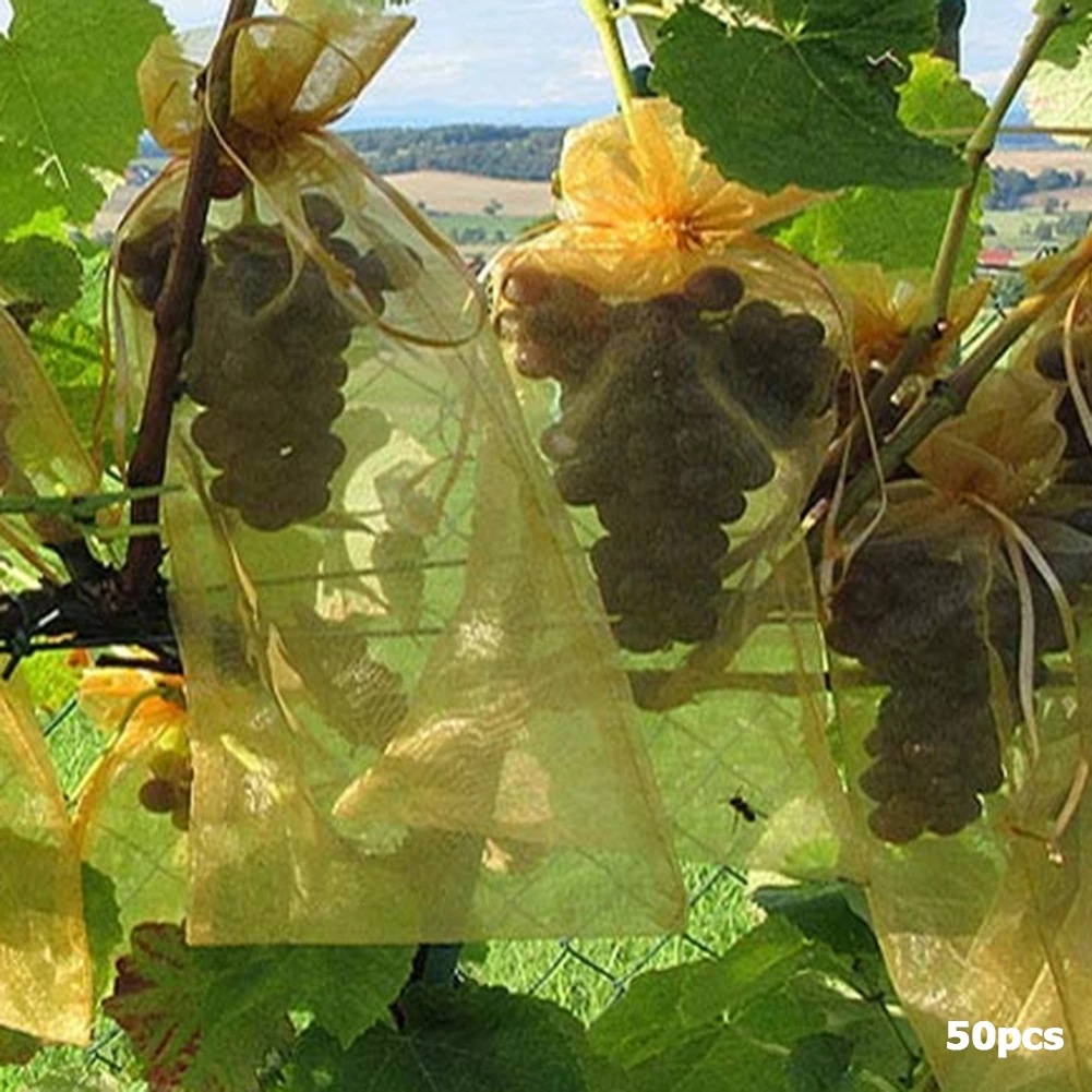Grapes Fruit Protection Bags Garden Mesh Bags Agricultural Orchard Pest Control Anti-Bird Netting Vegetable Bags Grapes Fruit Protection Bags Garden Mesh Bags Agricultural Orchard Pest Control Anti-Bird Netting Vegetable Bags