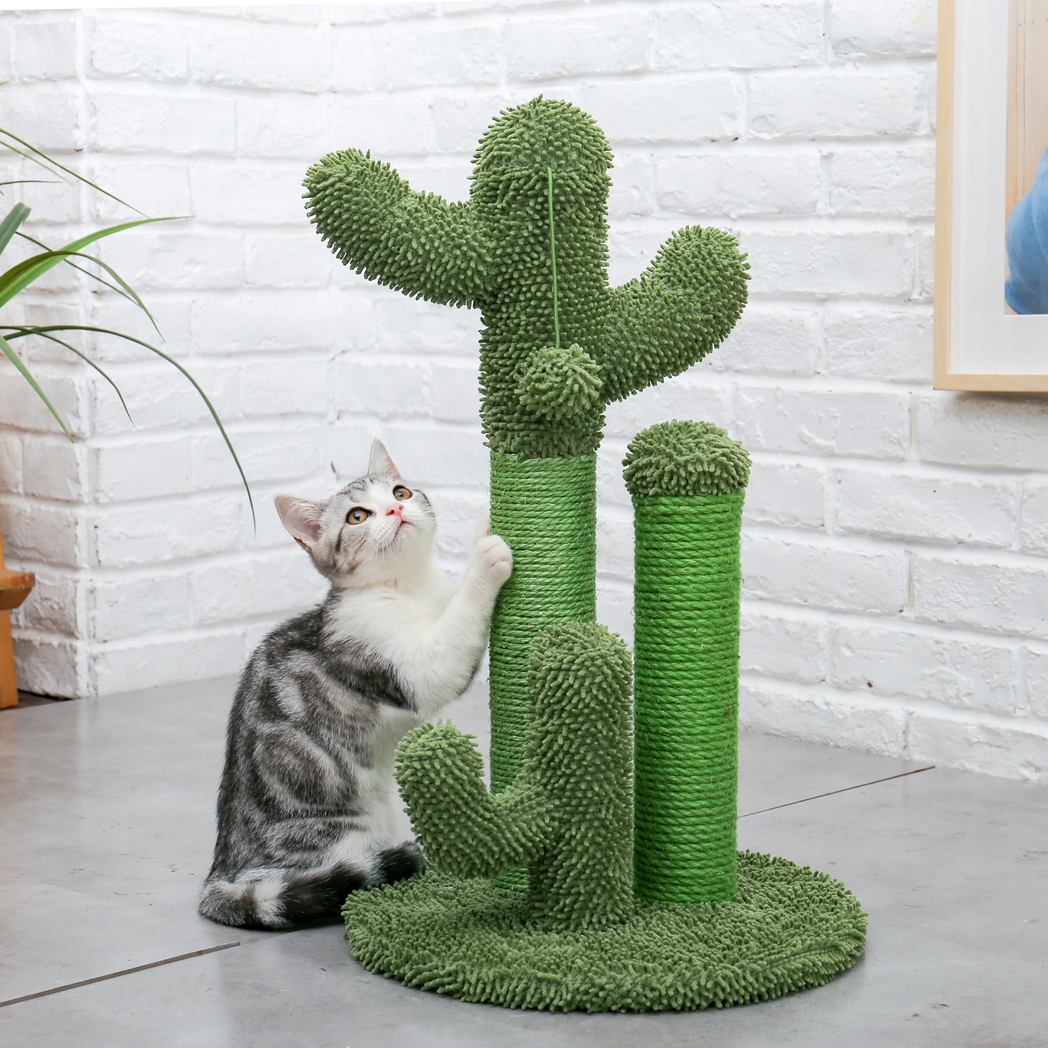 Green Cat Cactus Scratch Post Green Cat Cactus Scratch Post