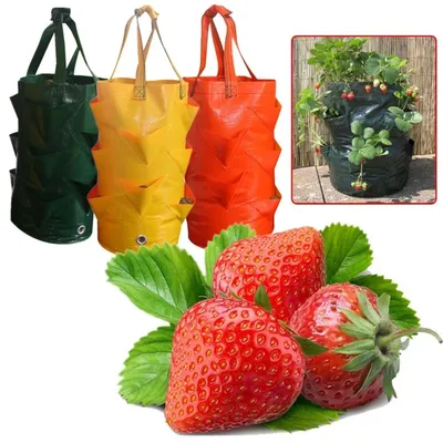 Grow Bag for Plants Vertical Planter with Strap Grow Bag for Plants Vertical Planter with Strap