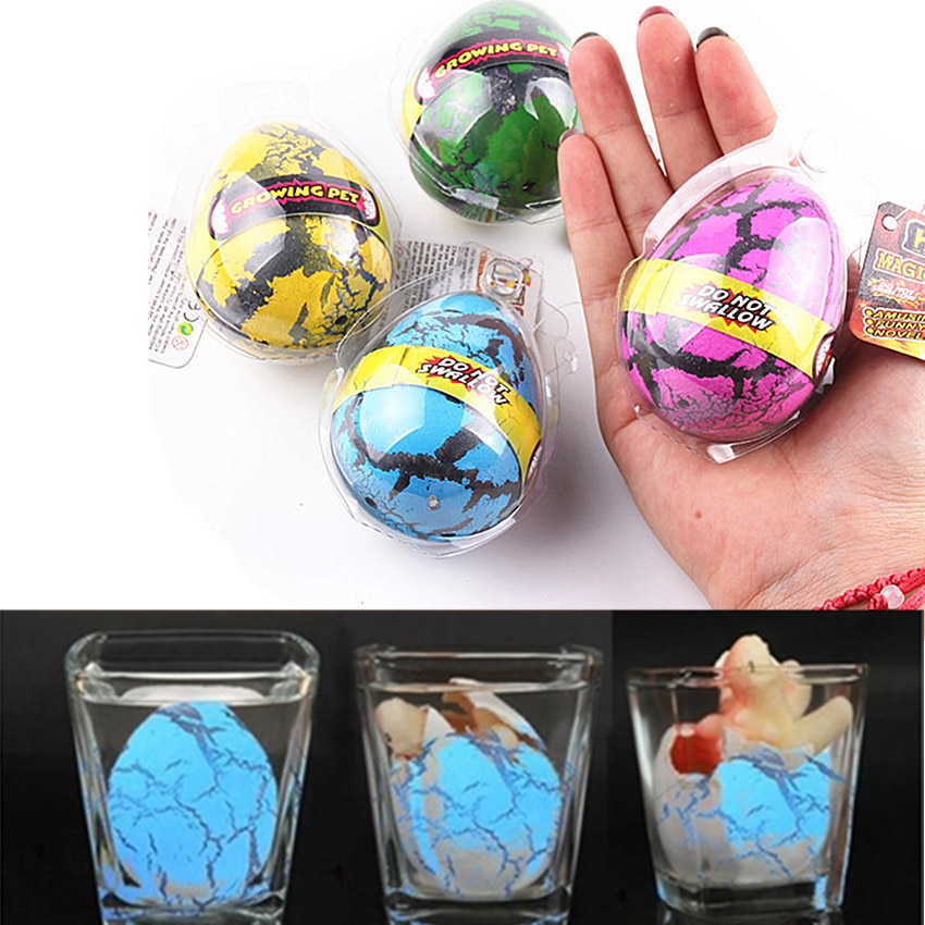 Grow In Water Dinosaurs Toys (5pcs)