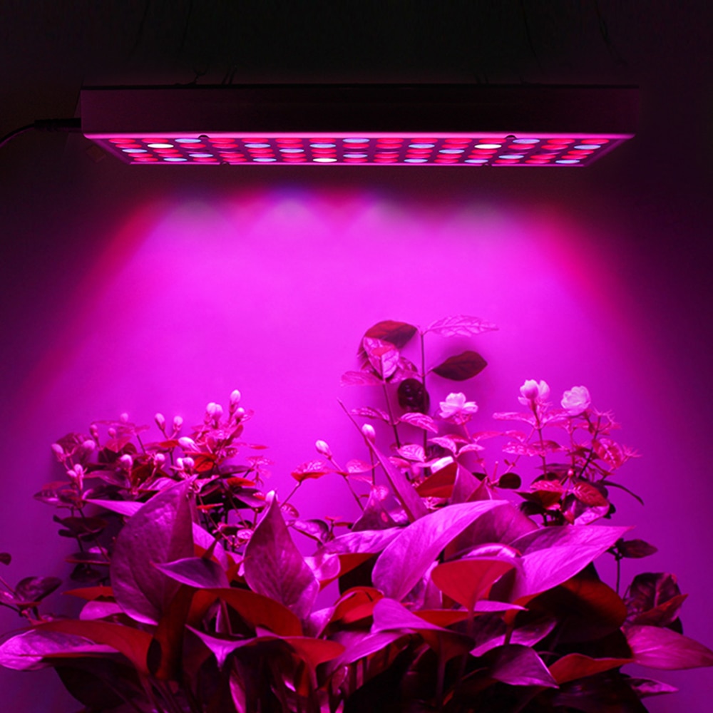 Grow Lamp Plant Growth Supplement Light Grow Lamp Plant Growth Supplement Light
