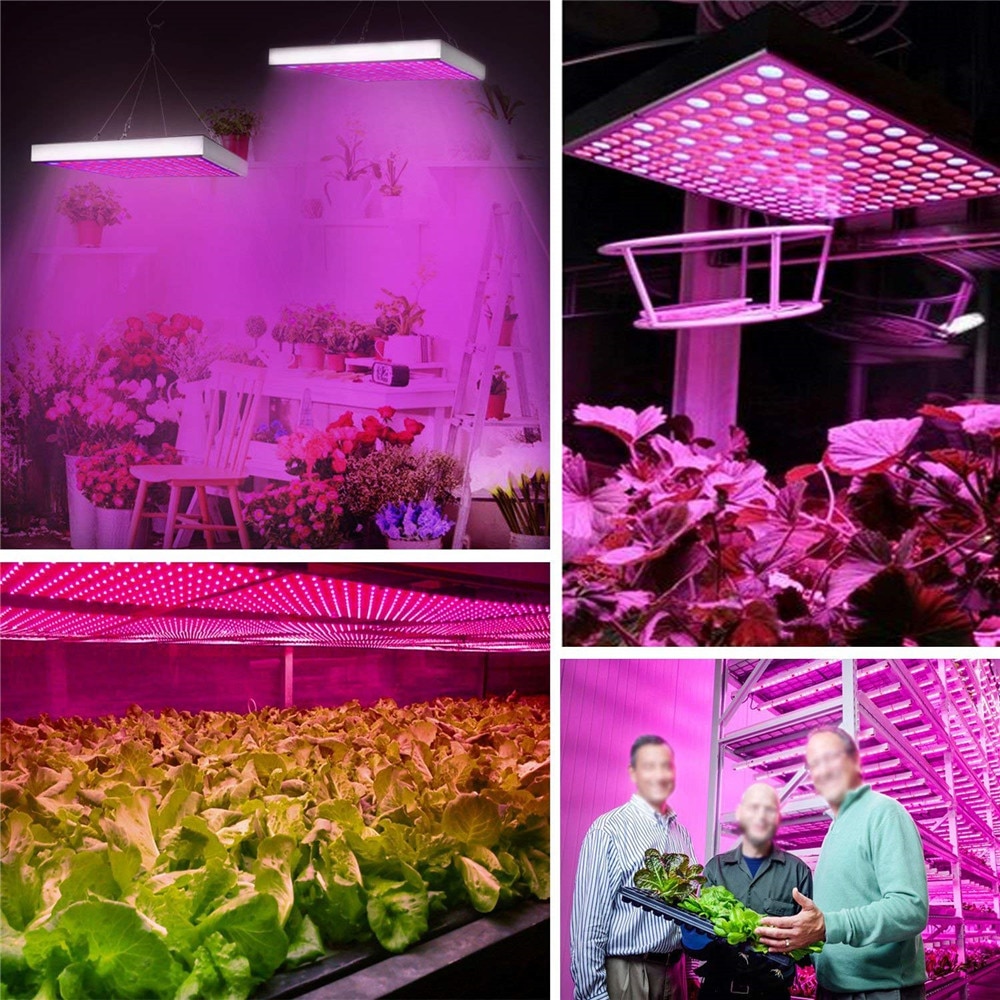 Grow Lamp Plant Growth Supplement Light Grow Lamp Plant Growth Supplement Light