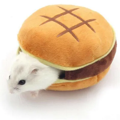 Guinea Pig Bed Burger Design Guinea Pig Bed Burger Design