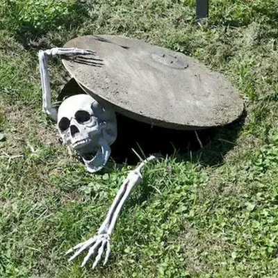 Halloween decor Skeleton Stakes Halloween Realistic Skull Skeleton Head Human Hand Arms for Halloween Party Home Garden Halloween decor Skeleton Stakes Halloween Realistic Skull Skeleton Head Human Hand Arms for Halloween Party Home Garden