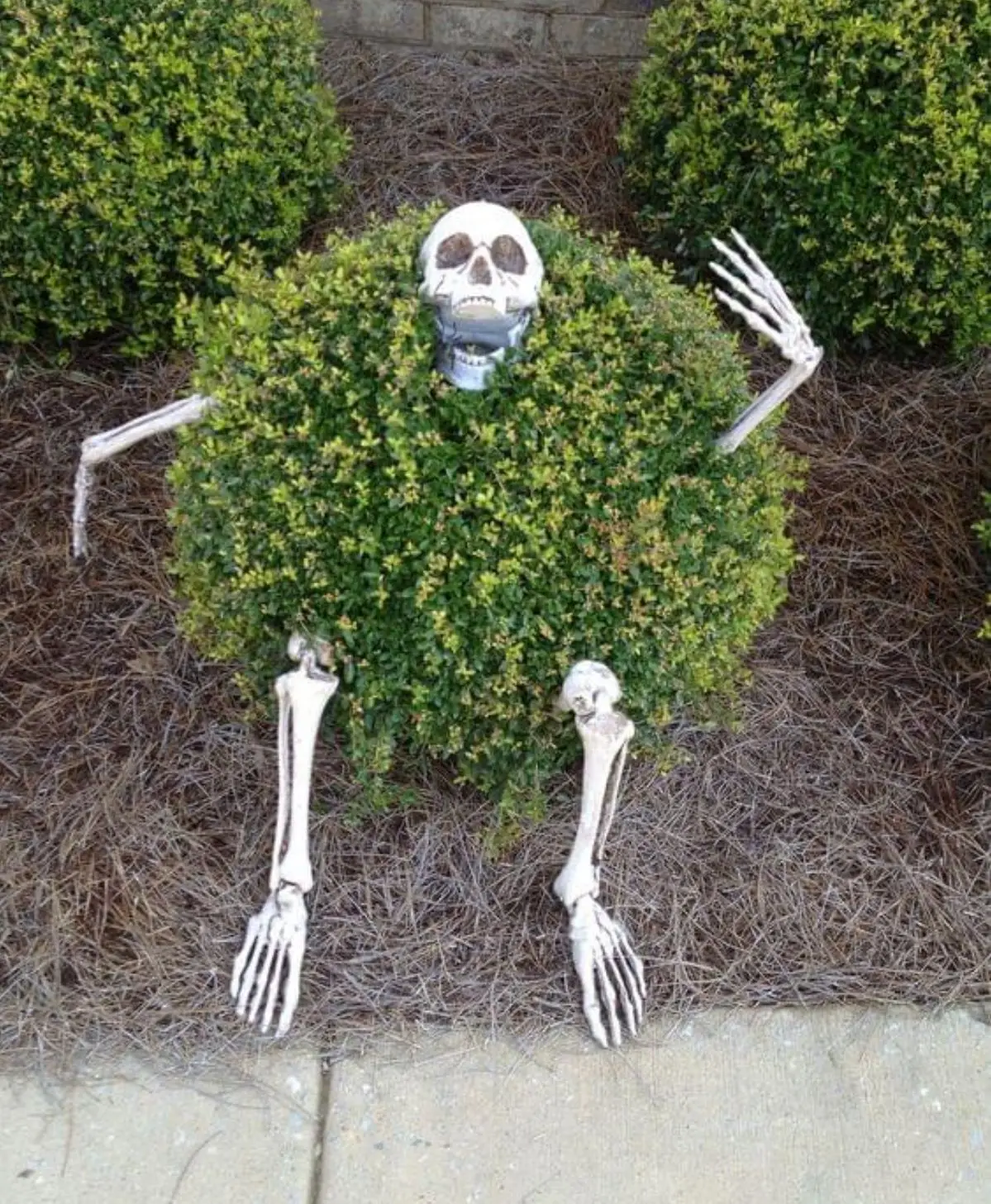 Halloween decor Skeleton Stakes Halloween Realistic Skull Skeleton Head Human Hand Arms for Halloween Party Home Garden Halloween decor Skeleton Stakes Halloween Realistic Skull Skeleton Head Human Hand Arms for Halloween Party Home Garden