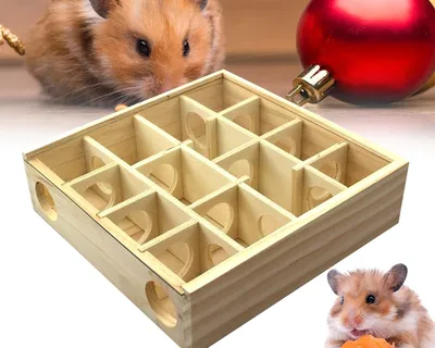 Hamster Maze Wooden Box Hamster Maze Wooden Box