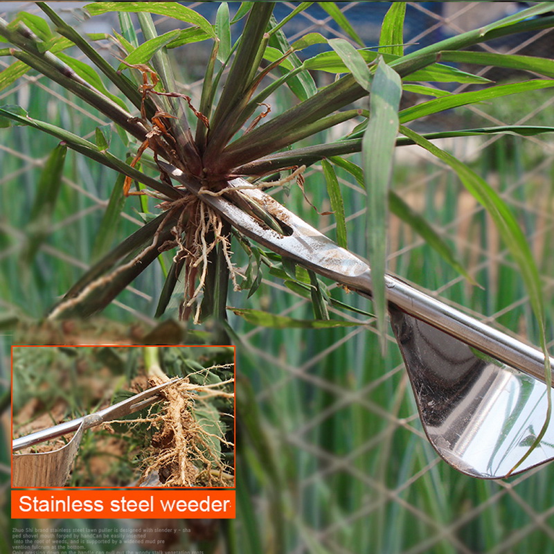 Hand Held Weed Puller with Wooden Handle Hand Held Weed Puller with Wooden Handle