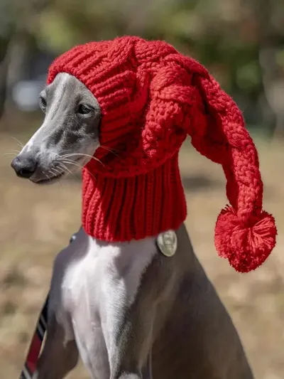 Hand Knit Winter Wool Greyhound Large Dog Beanie Hat Dog Accessories Whippet Snood for Dogs Hand Knit Winter Wool Greyhound Large Dog Beanie Hat Dog Accessories Whippet Snood for Dogs