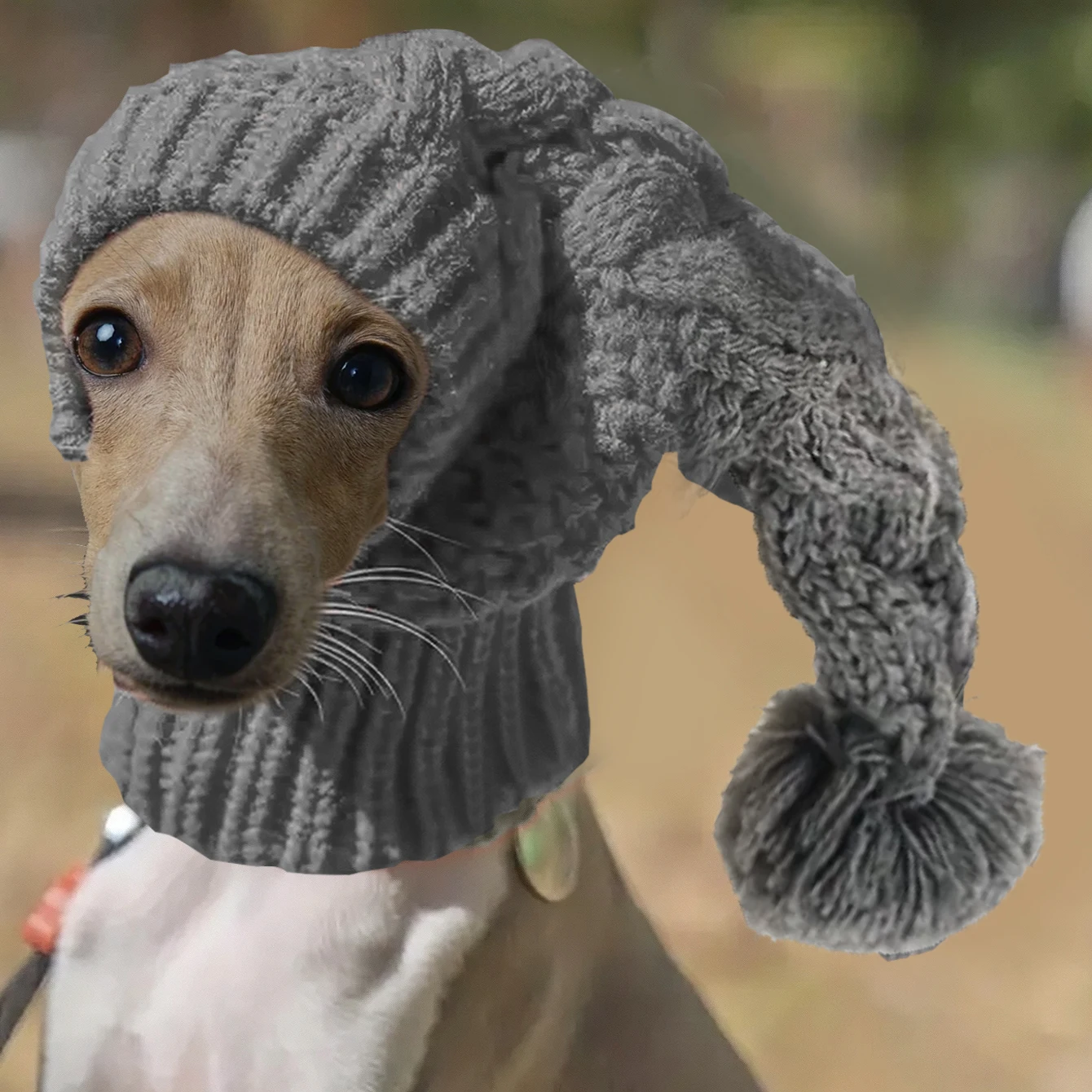 Hand Knit Winter Wool Greyhound Large Dog Beanie Hat Dog Accessories Whippet Snood for Dogs Hand Knit Winter Wool Greyhound Large Dog Beanie Hat Dog Accessories Whippet Snood for Dogs
