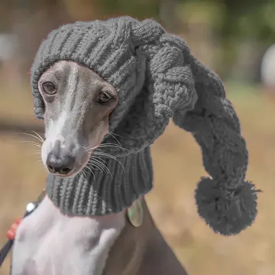 Hand Knit Winter Wool Greyhound Large Dog Beanie Hat Dog Accessories Whippet Snood for Dogs Hand Knit Winter Wool Greyhound Large Dog Beanie Hat Dog Accessories Whippet Snood for Dogs