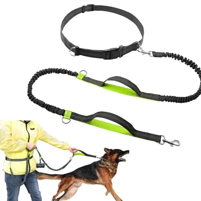 Hands Free Dog Leash Reflective