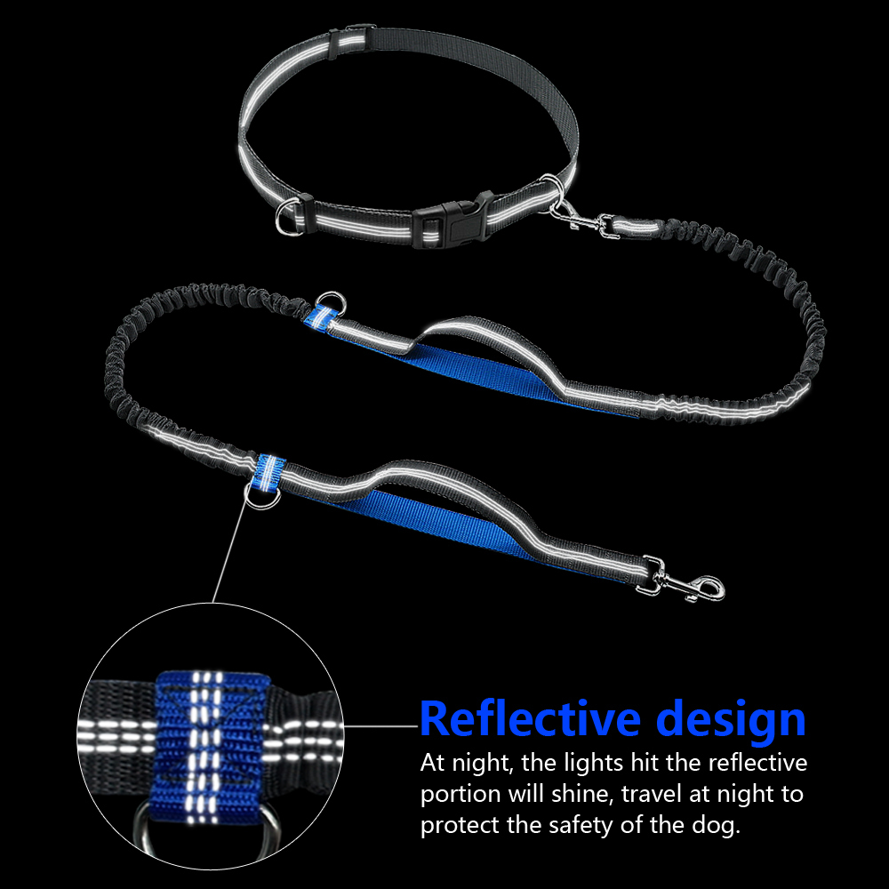 Hands Free Dog Leash Reflective
