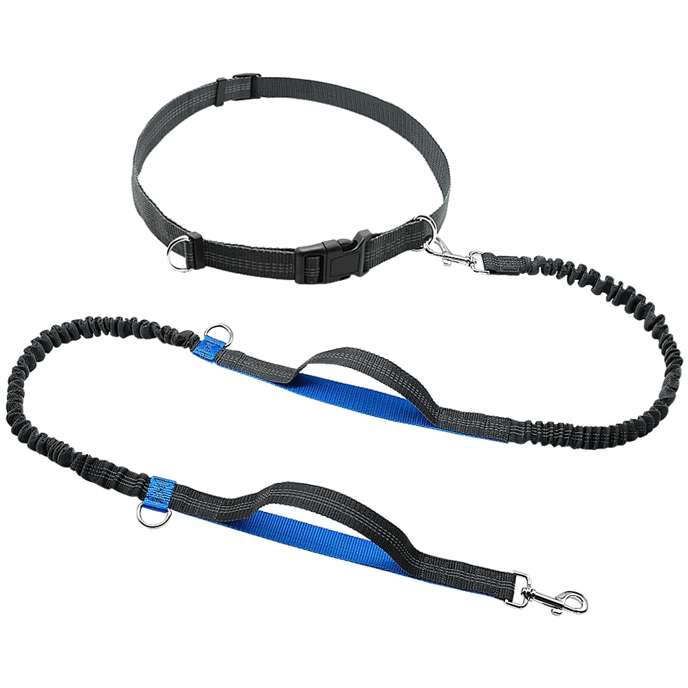 Hands Free Dog Leash Reflective
