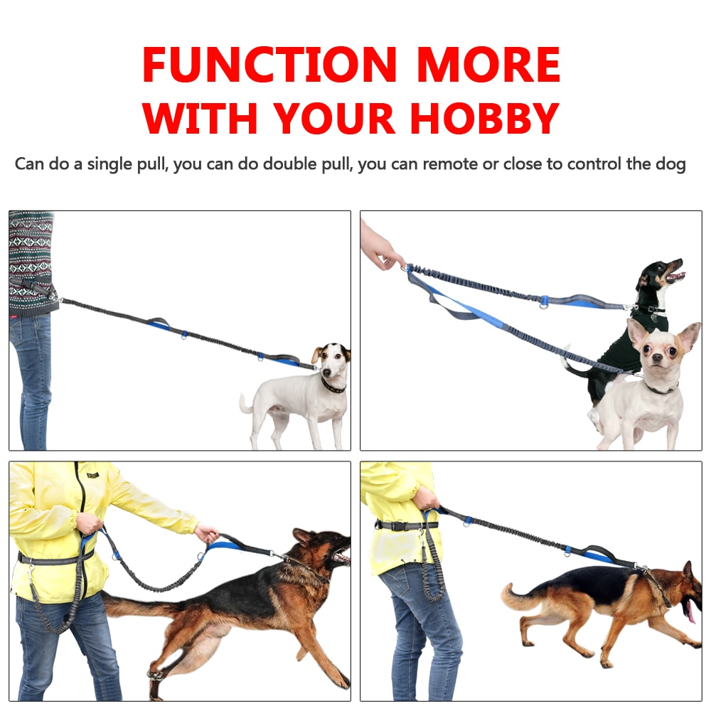 Hands Free Dog Leash Reflective