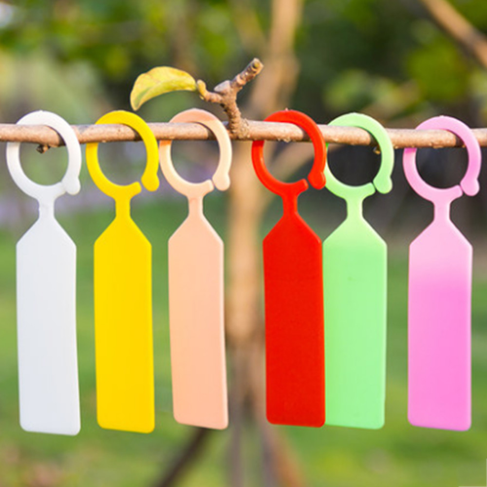 Hangable Plastic Tree Tags Hangable Plastic Tree Tags
