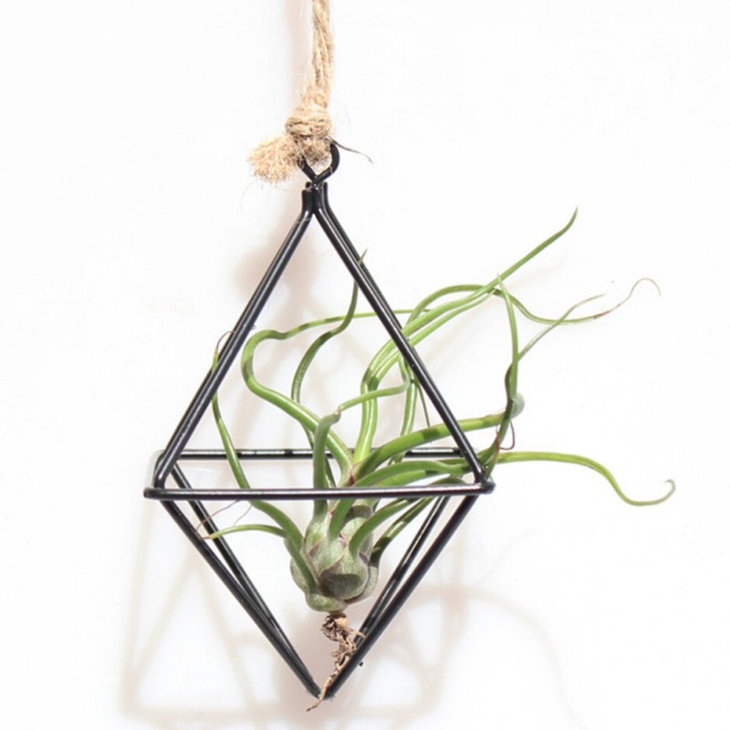 Hanging Air Plant Holder Iron Planter Hanging Air Plant Holder Iron Planter