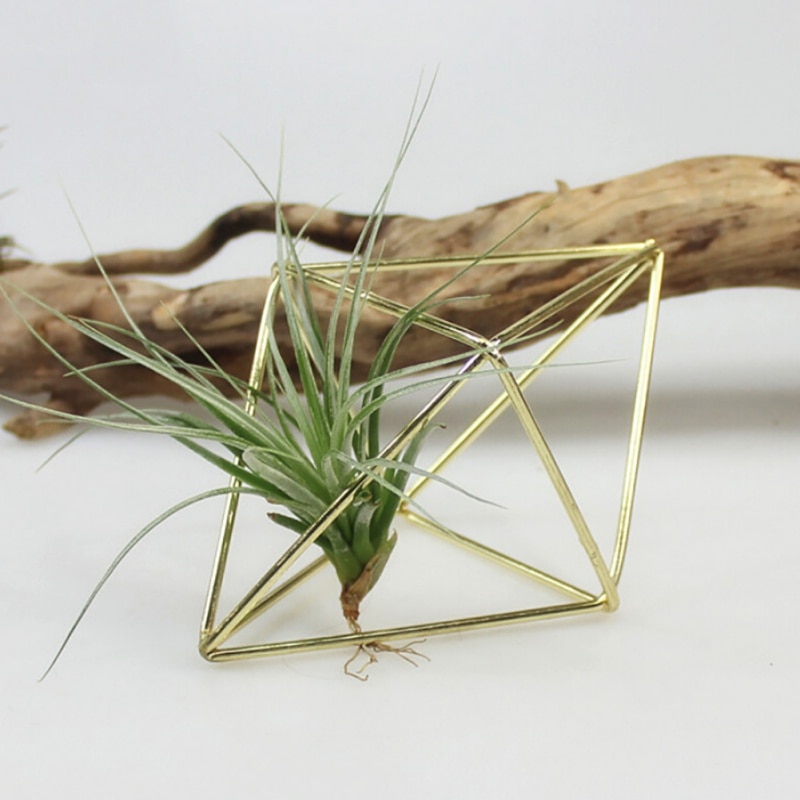 Hanging Air Plant Holder Iron Planter Hanging Air Plant Holder Iron Planter