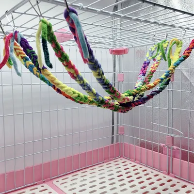Hanging Bird Rope Perch
