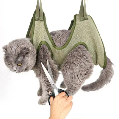 Hanging Cat Grooming Hammock Hanging Cat Grooming Hammock
