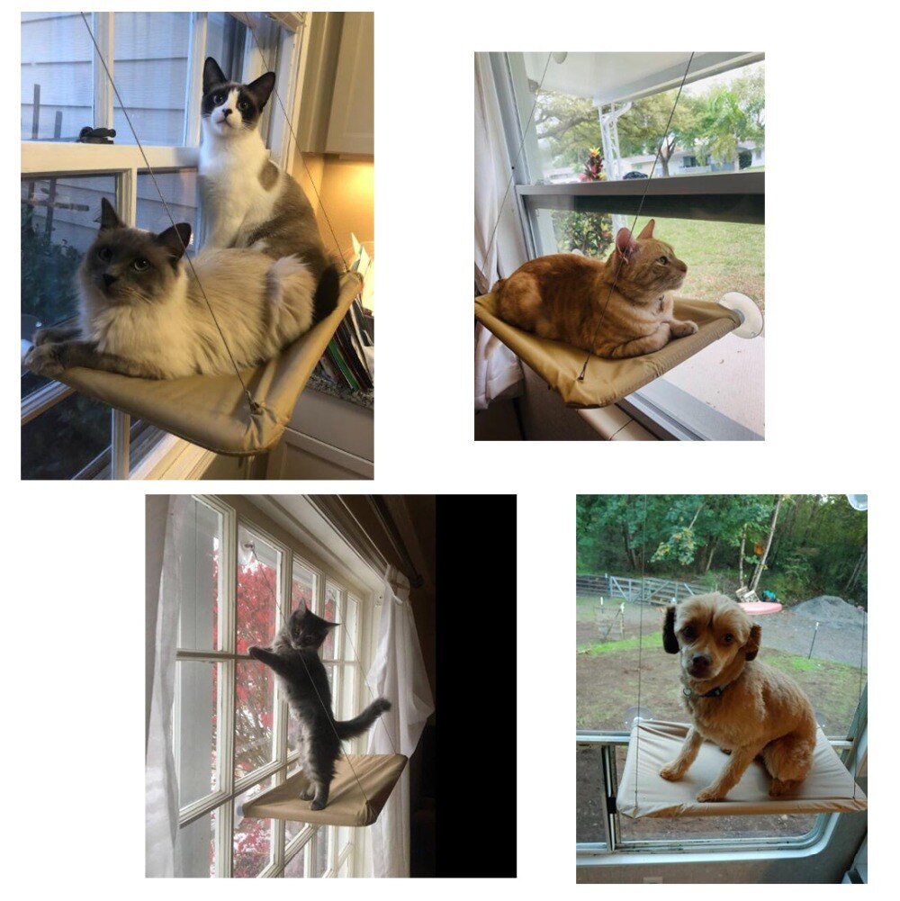 Hanging Cat Hammock Window Bed Hanging Cat Hammock Window Bed