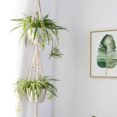 Hanging Double Macrame Plant Hanger Hanging Double Macrame Plant Hanger