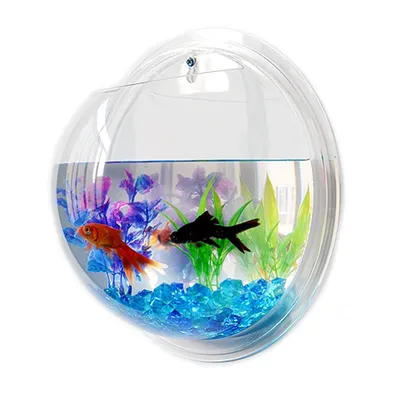 Hanging Fish Bowl Plant Wall Aquarium Hanging Fish Bowl Plant Wall Aquarium
