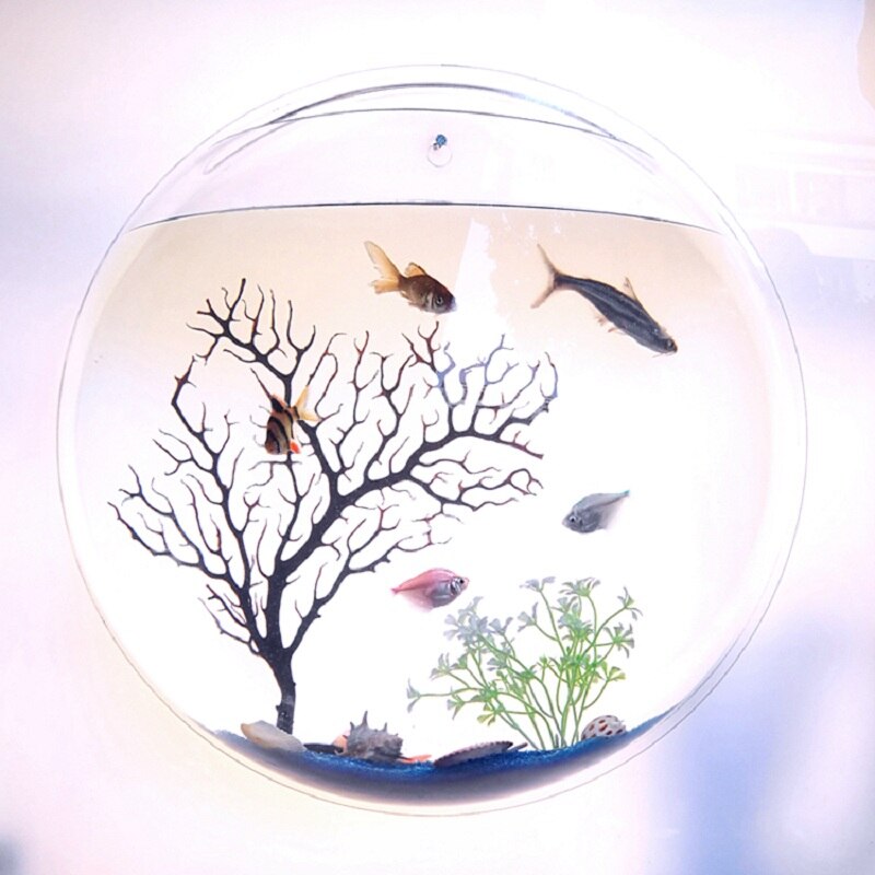 Hanging Fish Bowl Plant Wall Aquarium Hanging Fish Bowl Plant Wall Aquarium