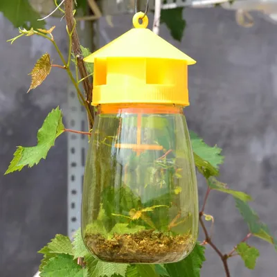 Hanging Fly Trap Pest Killer Hanging Fly Trap Pest Killer