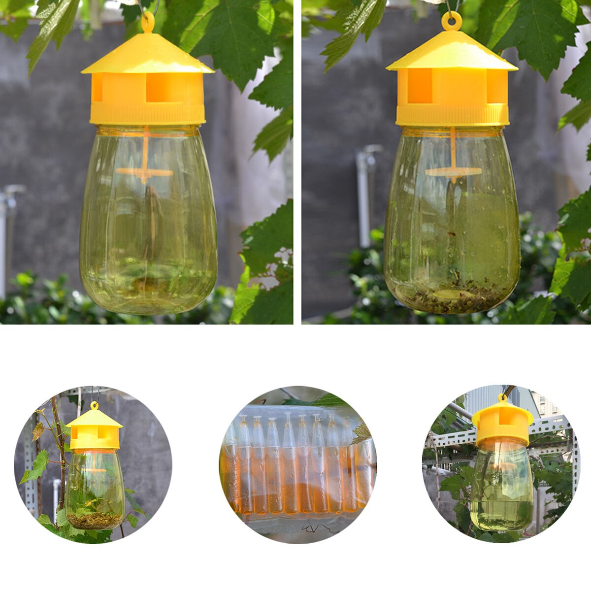Hanging Fly Trap Pest Killer Hanging Fly Trap Pest Killer