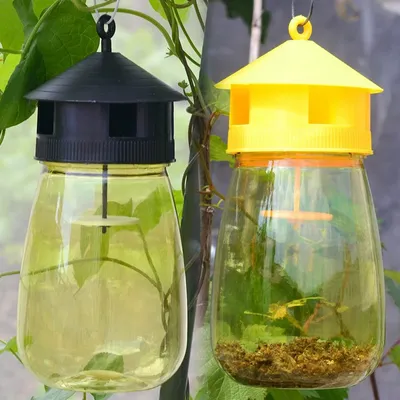 Hanging Plastic Bee and Wasp Trap Hanging Plastic Bee and Wasp Trap