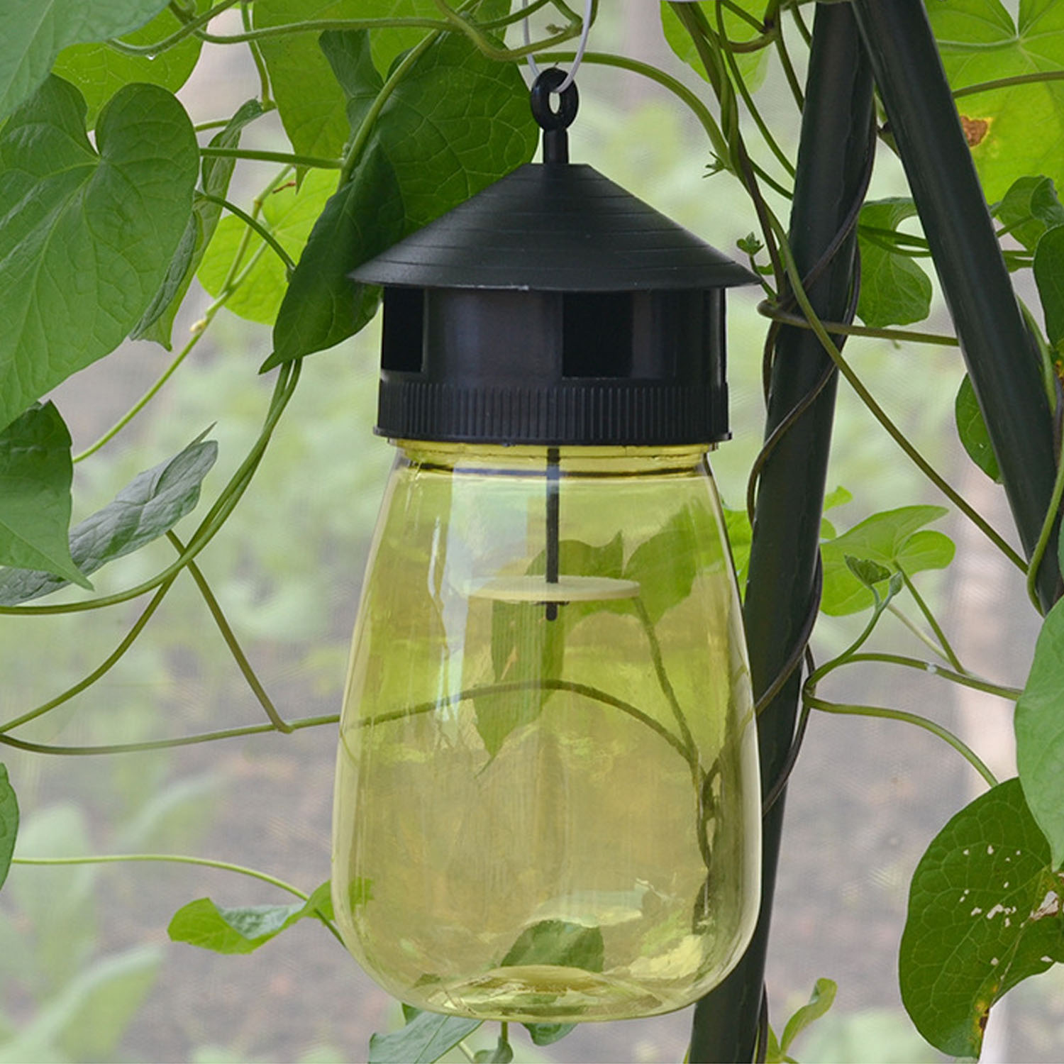 Hanging Plastic Bee and Wasp Trap Hanging Plastic Bee and Wasp Trap